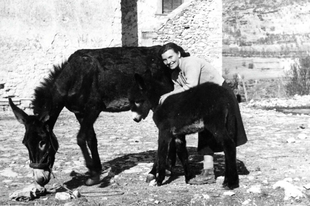 Foto storica - vita di campagna con allevamento asini