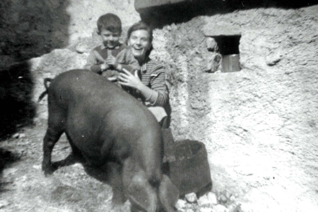 Foto storica - vita di campagna con allevamento del maiale