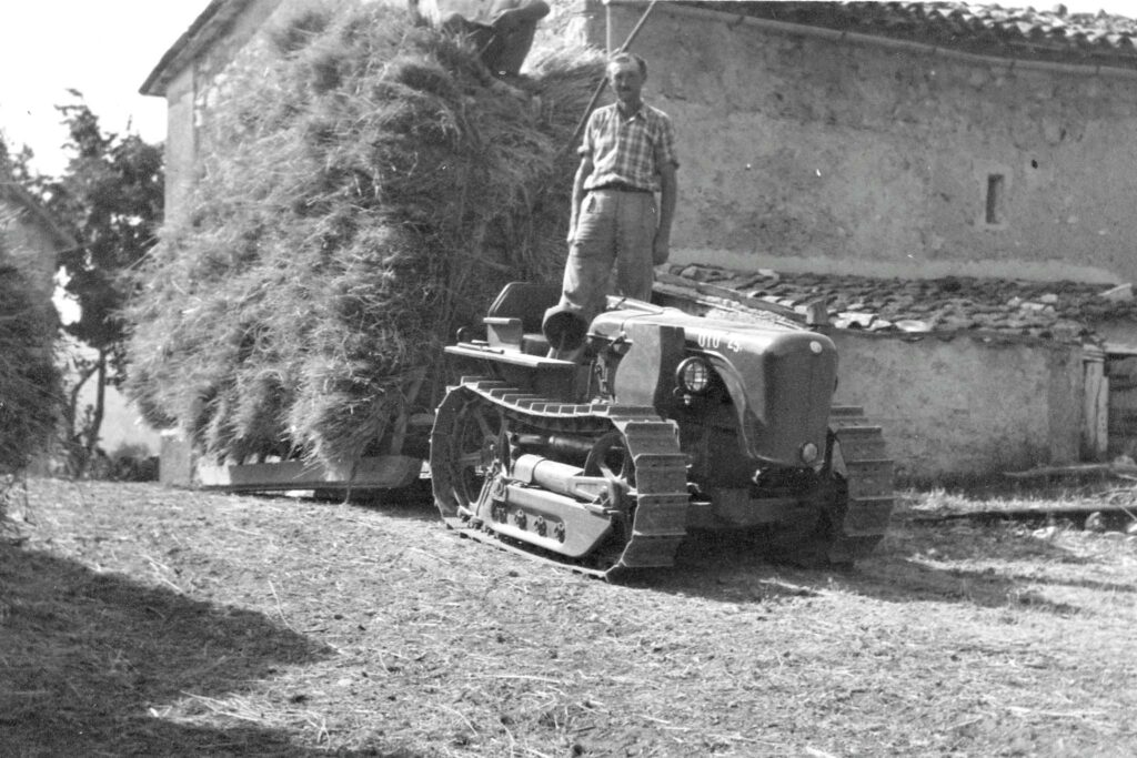 Foto storica - vita di campagna trasporto mannocchi di grano con treia